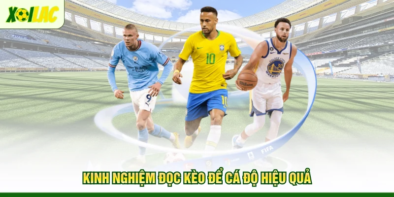 kinh-nghiem-doc-keo-de-ca-do-hieu-qua