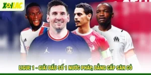 ligue-1-giai-dau-so-1-nuoc-phap-dang-cap-san-co