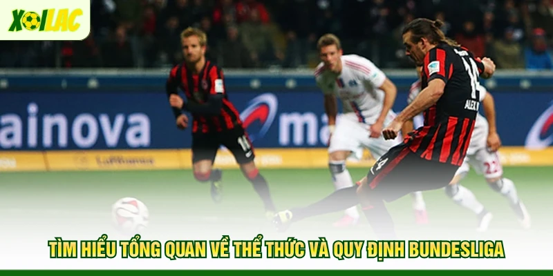 tim-hieu-tong-quan-ve-the-thuc-va-quy-dinh-bundesliga