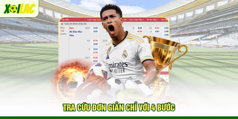 tra-cuu-don-gian-chi-voi-4-buoc